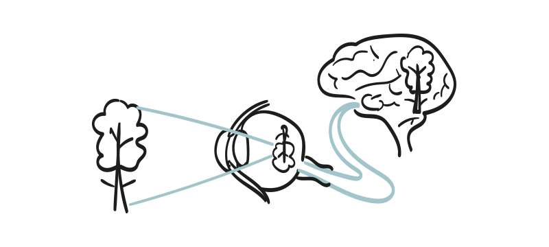 synet.png
