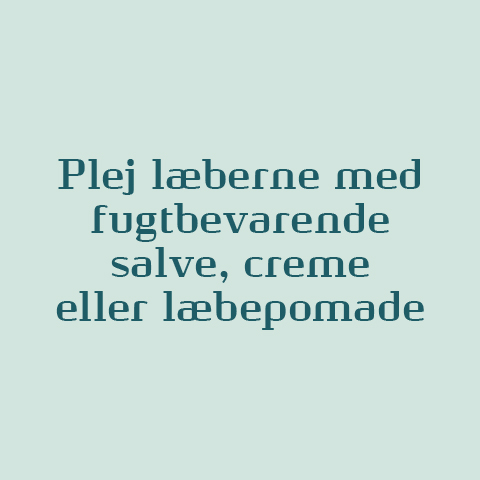 plej-lberne_480x480px.jpg