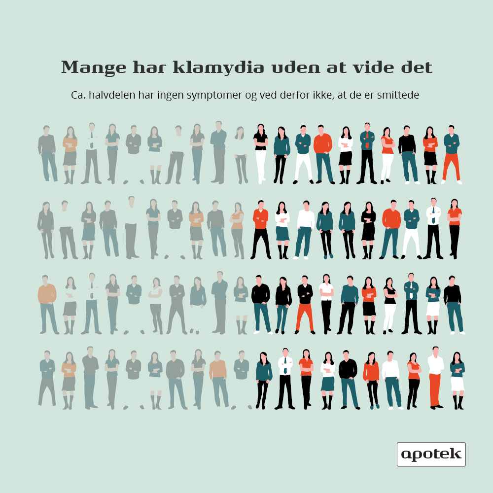klamydia_infografik_1000x1000.jpg