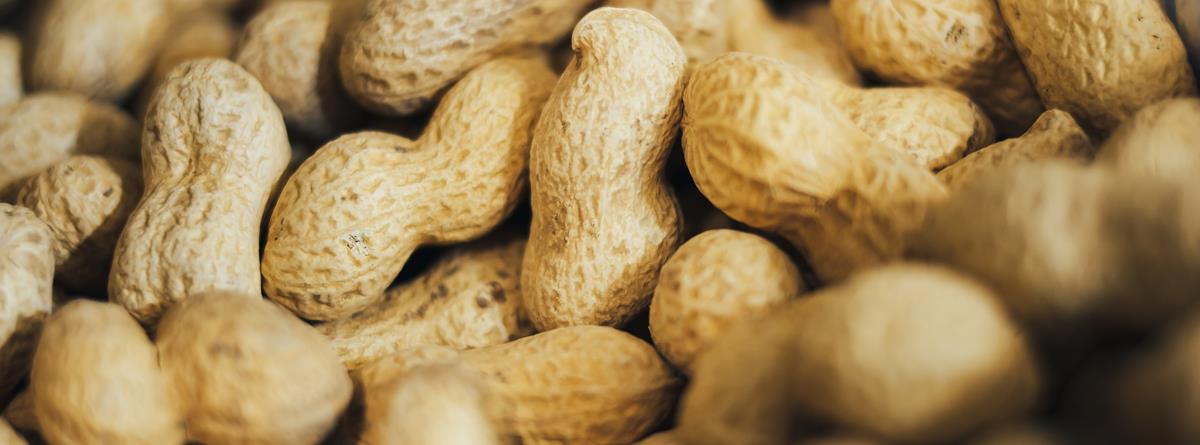 peanuts-biotin.jpg