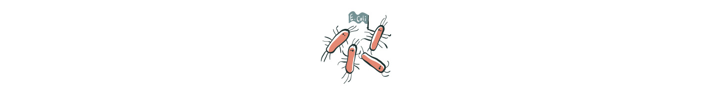 1440x270_e-coli.jpg
