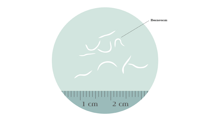 boerneorm-illustration700x400.jpg