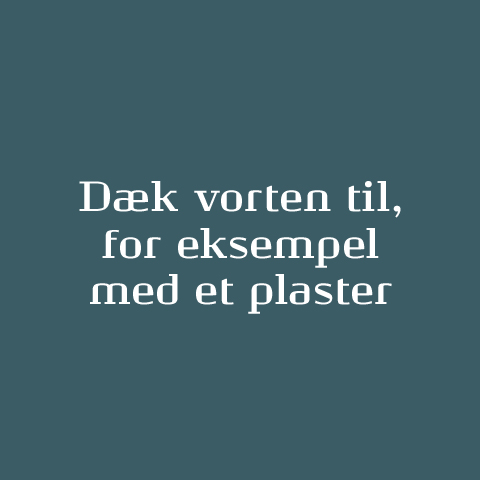 daek-vorten-til.jpg