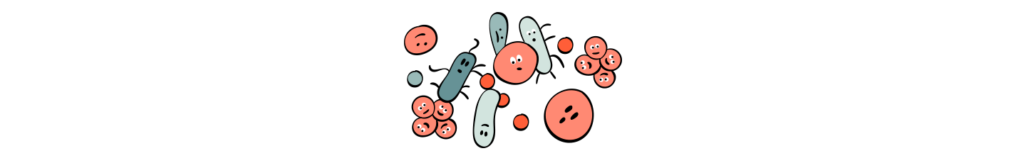 mikrobiom.png