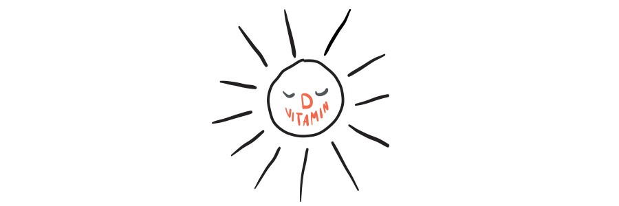 illustration-sol.jpg